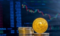 社保基金二季度动向浮出水面 现身12只个股前十大流通股股东名单